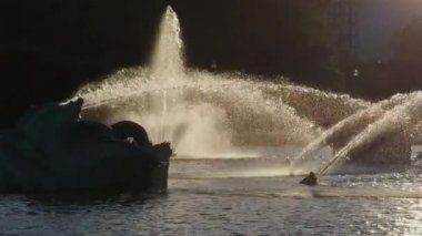 Park 'ın şehir merkezinde bir Chicago çeşmesi. Ağır çekim. Yüksek kalite 4k görüntü