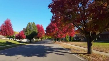 Güneşli bir sonbahar gününde, ABD 'nin banliyö sokağının POV görüntüsü. Yüksek kalite 4k görüntü