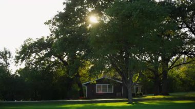Sabah güneşi, güzel banliyö bölgesindeki yeşil ağaçların dalları ve yaprakları arasında parıldıyor. - Evet. Yüksek kalite 4k görüntü