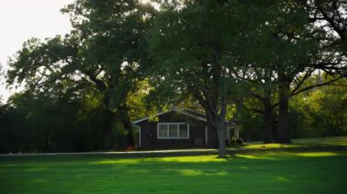 Sabah güneşi, güzel banliyö bölgesindeki yeşil ağaçların dalları ve yaprakları arasında parıldıyor. Yüksek kalite 4k görüntü