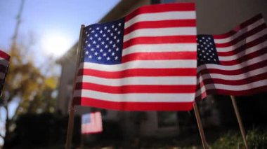Güneşli bir sonbahar gününde rüzgarda dalgalanan bir sürü Amerikan bayrağı. ABD bayramları için vatanseverlik konsepti, 4 Temmuz, Anma Günü, Gaziler Günü, Başkanlık seçim günü. - Evet. Yüksek kalite 4k görüntü