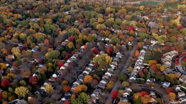 Sonbaharda, kırmızı, turuncu ve sarı ağaçların bulunduğu bir banliyö mahallesinin insansız hava aracı görüntüsü. Yüksek kalite 4k görüntü