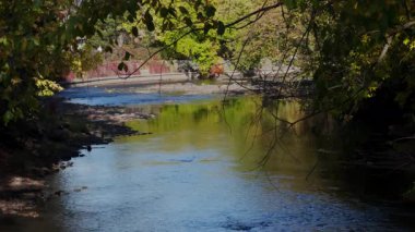 Titrek yeşilliği yansıtan sakin bir nehri olan sakin bir yaz manzarası. Sakin bir açık hava sahnesi rahatlamak için mükemmel. Yüksek kalite 4k görüntü