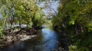 Parlak mavi gökyüzünün altındaki yemyeşil ağaçların arasından akan huzurlu yaz nehri. Sıcak ve güneşli bir günde huzurlu bir doğa sahnesi. Yüksek kalite 4k görüntü