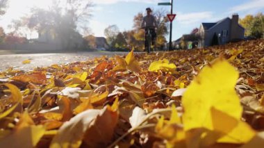 Güneşli bir sokakta bisiklet süren bir kadın. Etrafı renkli yapraklarla çevrili. Leef 'in yakın görüntüsü. Yüksek kalite 4k görüntü