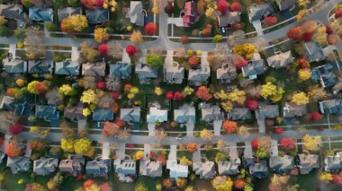 Parlak kırmızı ve sarı sonbahar ağaçlarıyla çevrili güzel manzaralı bir banliyö. Sıcak sonbahar renkleri, nefes kesen sonbahar renkleri ve hava manzarası arasında, mevsimsel, pitoresk bir mahalle, evler yaratır. 4k görüntü