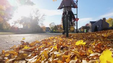 Güneşli bir sokakta bisiklet süren bir kadın. Etrafı renkli yapraklarla çevrili. Leef 'e yakın çekim. Yüksek kalite 4k görüntü