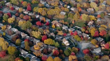 Canlı kırmızı ve sarı sonbahar ağaçlarıyla çevrili bir banliyö. Sıcak sonbahar renkleri, nefes kesen sonbahar renklerinin, hava aracı görüntüsünün ortasındaki mevsimsel mahalleler, evler oluşturur. 4k görüntü