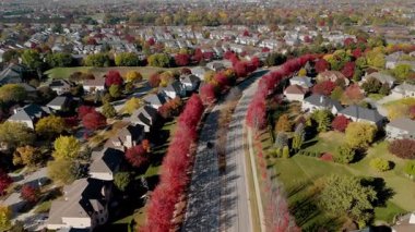Canlı kırmızı ve sarı sonbahar ağaçlarıyla çevrili Beaut Scenic banliyö caddesinin insansız hava aracı görüntüsü. Sıcak sonbahar renkleri güzel mevsimsel mahalleler, evler, hava manzarası yaratır. Yüksek kalite 4k görüntü