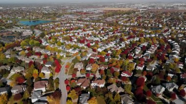 Canlı kırmızı ve sarı sonbahar ağaçlarıyla çevrili banliyö sokağının insansız hava aracı görüntüsü. Sıcak sonbahar renkleri güzel mevsimsel mahalleler, evler yaratır. Yüksek kalite 4k görüntü