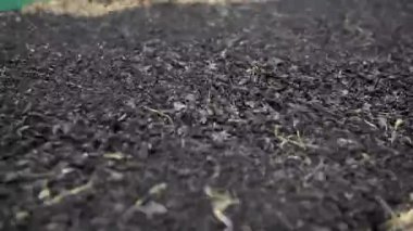 Bir endüstriyel tesiste ayrıştırılan ve geri dönüştürülen parçalanmış lastik yığını. Yüksek kalite 4k görüntü