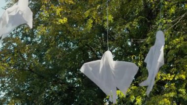 Güneşli bir günde ağaçta asılı duran cadılar bayramı hayaleti dekoru. Yüksek kalite 4k görüntü