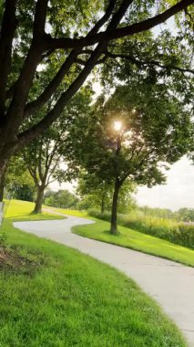 Uzun ağaçlar ve parlak mavi gökyüzünün altında mükemmel manikürlü çimlerle dolu yemyeşil bir parkın dikey görüntüsü. Yüksek kalite 4k görüntü