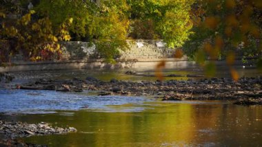Ormanda ya da sonbaharda yavaşça akan bir nehrin manzarası. Yüksek kalite 4k görüntü