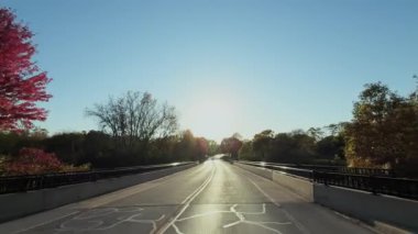 Güneşli bir sonbahar gününde parlak altın ağaçlarla dolu güzel bir banliyö caddesi. Yerleşim alanındaki hareket halindeki araçtan sonbahar sahnesi. Yüksek kalite 4k görüntü