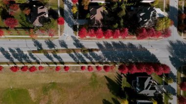 Canlı kırmızı ve sarı sonbahar ağaçlarıyla çevrili Beaut Scenic banliyö sokağının en tepedeki görüntüleri. Sıcak sonbahar renkleri güzel mevsimsel mahalleler, evler yaratır. Yüksek kalite 4k görüntü