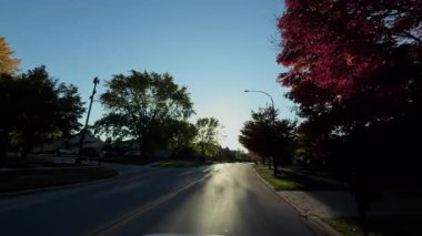Güneşli bir sonbahar gününde parlak altın ağaçlarla dolu güzel banliyö sokakları. Yerleşim alanındaki hareket halindeki araçtan sonbahar sahnesi. Yüksek kalite 4k görüntü