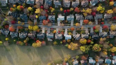 Canlı kırmızı ve sarı sonbahar ağaçlarıyla çevrili bir banliyö. Sıcak sonbahar renkleri, nefes kesen sonbahar renkleri ve hava manzarası arasında, mevsimsel, pitoresk bir mahalle, evler yaratır. Yüksek kalite 4k görüntü