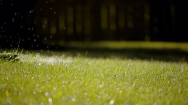 Parlak yeşil çimlerin üzerindeki bahçeyi sulayan yağmur damlaları. Yavaş çekim. Yüksek kalite 4k görüntü
