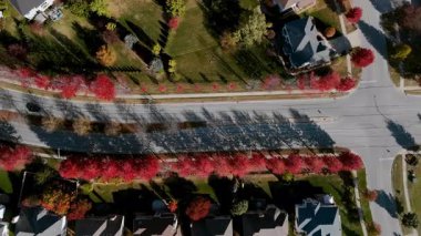 Canlı kırmızı ve sarı sonbahar ağaçlarıyla çevrili Beaut Scenic banliyö sokağının en alt sahnesi. Sonbahar renkleri güzel mevsimsel mahalleler, evler, hava manzarası yaratır. Yüksek kalite 4k görüntü