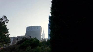 Chicago şehir merkezi, Chicago parkındaki ağaçların dalları ve yaprakları arasında. - Evet. Yüksek kalite 4k görüntü