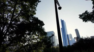 Chicago şehir merkezi, Şikago parkındaki yeşil ağaçların dalları ve yaprakları arasından görünüyor. - Evet. Yüksek kalite 4k görüntü