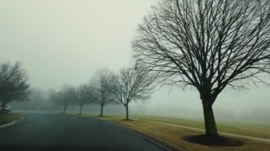 Sonbaharda sisli yolda araba sürerken pov çekimi. Yüksek kalite 4k görüntü