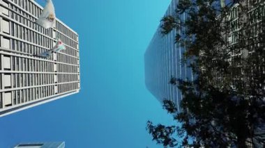 Chicago şehir merkezindeki gökdelenler arasındaki binici arabasından Pov vuruldu. Yoğun şehir manzarası. Aşağıdan görüntü. Yüksek kalite 4k görüntü