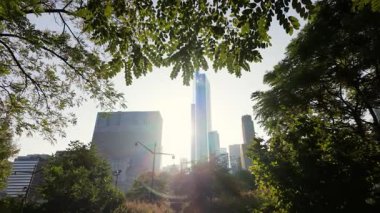 Şikago parkındaki yeşil ağaçların dalları ve yaprakları güneş gibi parlıyor. Sabit kamera görüntüsü. Yüksek kalite 4k görüntü