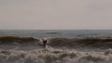 Florida, Jacksonville 'de güneşli bir yaz gününde fırtınalı okyanuslarda ustalıkla sörf yapan genç sörfçünün silüeti. Jacksonville FL 'de. ABD 2 Nisan 2025. Yüksek kalite 4k görüntü