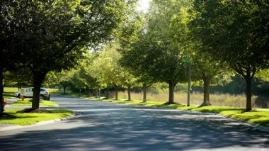 Gölün yakınındaki banliyö bölgesinde güzel ağaçlar var. Kamerayı sabit tut. Yüksek kalite 4k görüntü