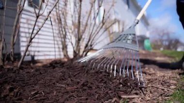 Bahçıvan evin yakınına çam kabuğu kabuğu yayar ve bitkileri besler. Bahçede mevsimlik işler. Peyzaj tasarımı. Bahçe düzenleme. - Evet. Yüksek kalite 4k görüntü