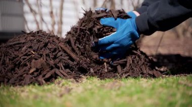 Bahçıvan çam kabuğuyla saman kapar ve evin yanındaki bitkileri besler. Bahçede mevsimlik işler. Peyzaj tasarımı. Bahçe düzenleme. - Evet. Yüksek kalite 4k görüntü