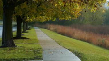 Yağmurlu bir sonbahar gününde parlak altın ağaçlarla kaplı güzel banliyö yağmur sokağının dikey manzarası. Düşen yapraklar kaldırımı kaplıyor ve güzel bir sonbahar sahnesi yaratıyor. Yüksek kalite 4k görüntü