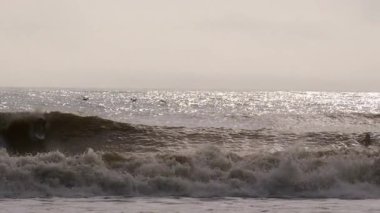 Florida Jacksonville 'de güneşli bir yaz gününde fırtınalı okyanusta sörf yapan genç sörfçülerin silueti. Jacksonville FL 'de. ABD 2 Nisan 2025. Yüksek kalite 4k görüntü