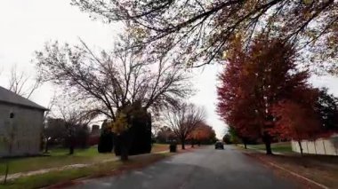 POV, parlak sonbahar ağaçlarıyla dolu cadde boyunca hareket eden arabadan ateş ediyor. Sıcak renkler ve kasvetli gökyüzü güzel komşuluk resimleri yaratır. - Evet. Yüksek kalite 4k görüntü