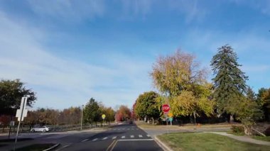 Dışarıdaki araç, banliyö caddesinde ilerleyen parlak sarı ağaçlı bir araçtan ateş etmiş. Sıcak sonbahar renkleri ve parlak mavi gökyüzü mahallelerin güzel bir resmini oluşturur. - Evet. Yüksek kalite 4k görüntü