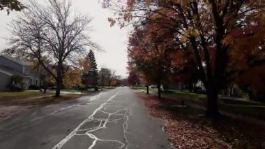 Dışarıdaki POV, parlak sonbahar ağaçlarıyla cadde boyunca hareket eden arabadan ateş ediyor. Sıcak renkler ve parlak mavi gökyüzü mahallelerin güzel bir resmini oluşturur. - Evet. Yüksek kalite 4k görüntü