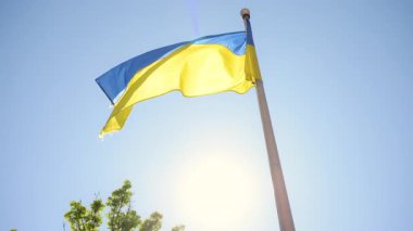Bayrak direğinde Ukrayna bayrağı. Ukrayna bayrağının yavaşça dalgalanan gökyüzü mavi ve sarı ulusal renkler. Yüksek kalite 4k görüntü