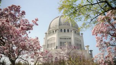 Beyaz Kubbe 'nin detaylı mimarisi ile Chicago' daki beyaz tapınak. Ön planda, pembe kiraz çiçekleri tam çiçeklenmiştir. Yüksek kalite 4k görüntü