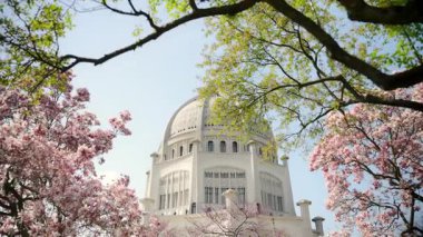 Beyaz Kubbe mimarisi ile Beyaz Tapınak. Ön plan, pembe kiraz çiçekleri ve ağaç dallarındaki genç yapraklar. Wilmette, IL, ABD. 25 Nisan 2024. Yüksek kalite 4k görüntü