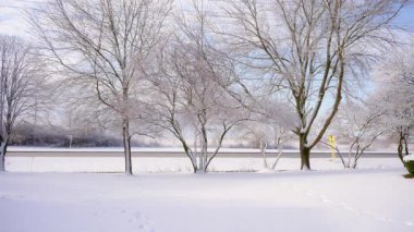 Karayolu yakınlarında açık havada donmuş ağaçlarla güneşli, soğuk banliyöler. Yüksek kalite 4k görüntü