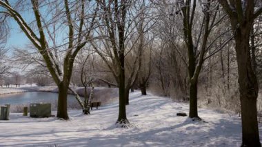 Açık havada donmuş gölü olan güneşli, soğuk bir park. Yüksek kalite 4k görüntü