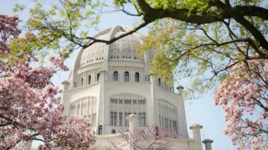 Wilmette 'deki tapınak, detaylı beyaz kubbe mimarisi. Ön planda, pembe kiraz çiçekleri tam çiçeklenmiştir. Geniş görüş. Yüksek kalite 4k görüntü