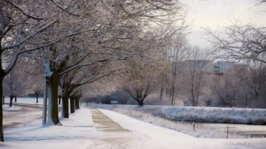 Güneşli, dondurucu, güneşli bir günde açık havada donmuş gölü olan yerel bir park. Yüksek kalite 4k görüntü
