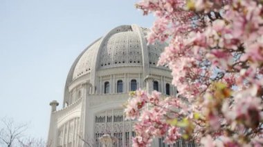 Wilmette 'deki tapınak, detaylı beyaz kubbe mimarisi. Ön planda, pembe kiraz çiçekleri tam çiçeklenmiştir. Yüksek kalite 4k görüntü