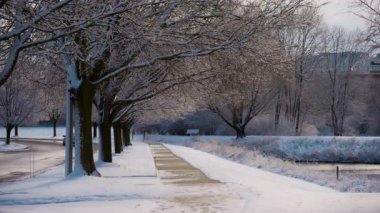 Açık havada donmuş gölü olan güneşli, dondurucu bir park. Yüksek kalite 4k görüntü