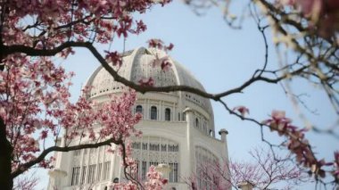 Beyaz Kubbe 'nin detaylı mimarisine sahip Bahai Tapınak. Önplanda, pembe kiraz çiçekleri ve ağaç dalları. Kamerayı çek. Yüksek kalite 4k görüntü