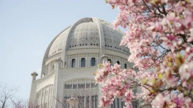 Wilmette, IL 'deki Bahai Tapınak, detaylı beyaz kubbe mimarisi. Ön planda, pembe kiraz çiçekleri tomurcuklanıyor. - Evet. Yüksek kalite 4k görüntü