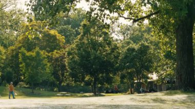 Karahindiba tüylerinin çoğu yazın yeşil çimlerin üzerinde yatar. Yavaş çekim görüntüsü. Yüksek kalite 4k görüntü